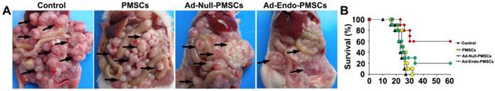 Int J Med Sci Image