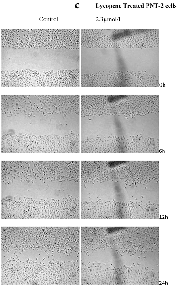 Int J Med Sci Image