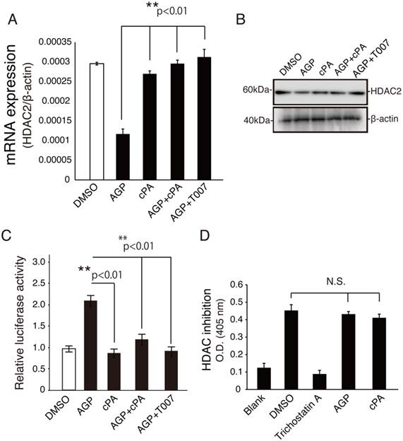 Int J Med Sci Image