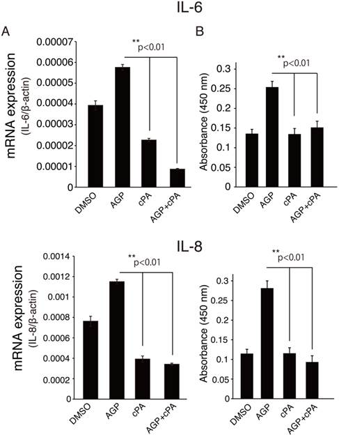 Int J Med Sci Image