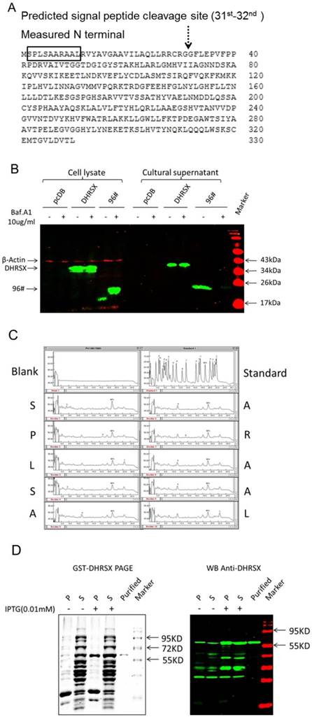 Int J Med Sci Image