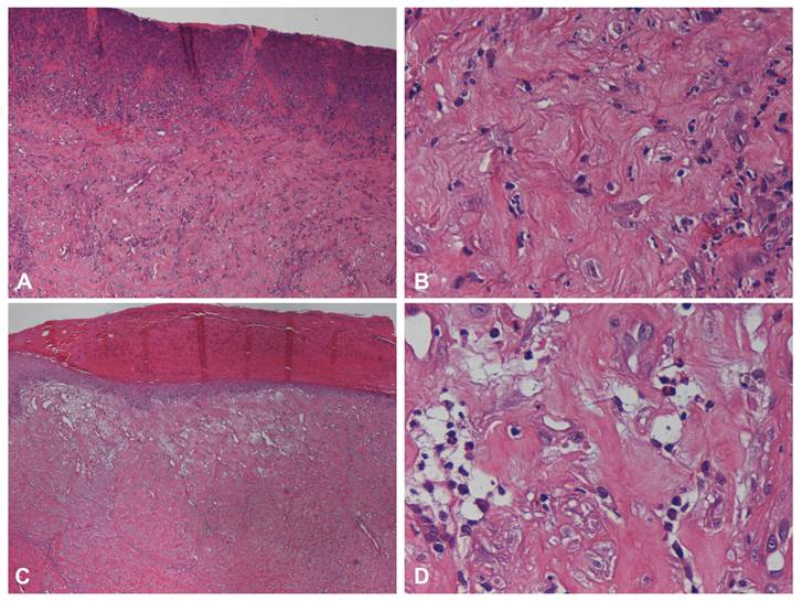 Int J Med Sci Image