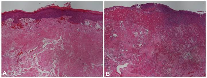 Int J Med Sci Image