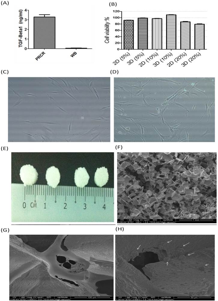 Int J Med Sci Image