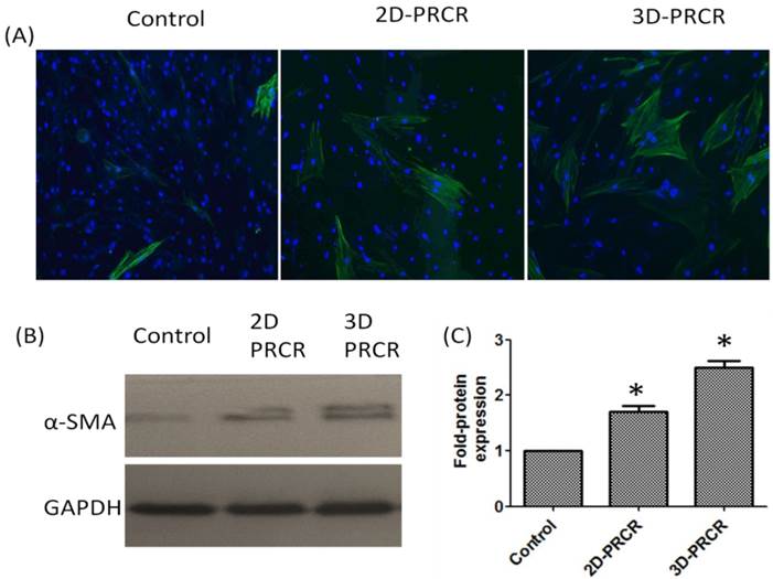 Int J Med Sci Image