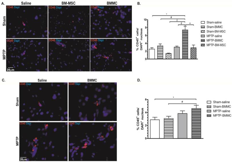 Int J Med Sci Image