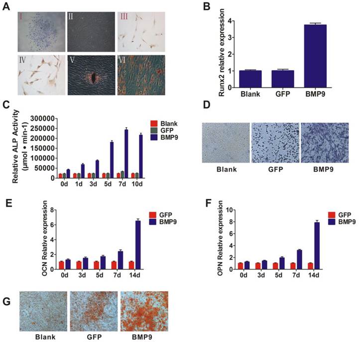 Int J Med Sci Image