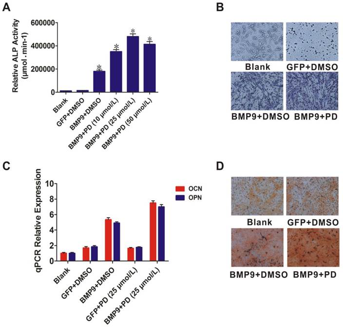 Int J Med Sci Image