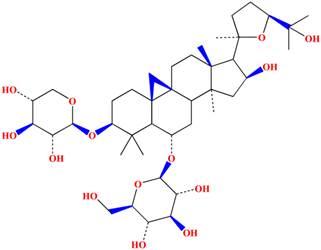 Int J Med Sci Image