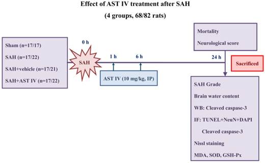 Int J Med Sci Image