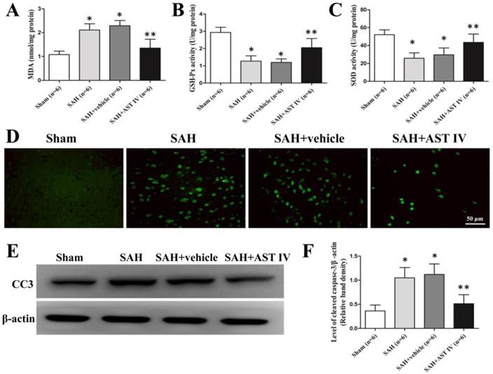 Int J Med Sci Image