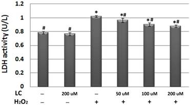 Int J Med Sci Image