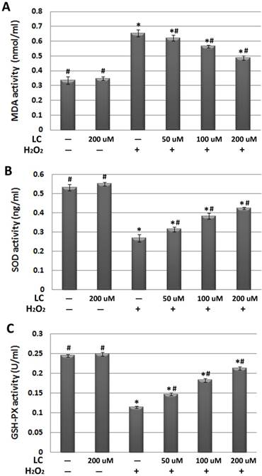 Int J Med Sci Image