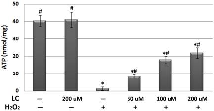 Int J Med Sci Image