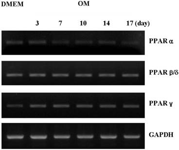 Int J Med Sci Image