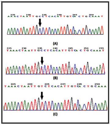 Int J Med Sci Image