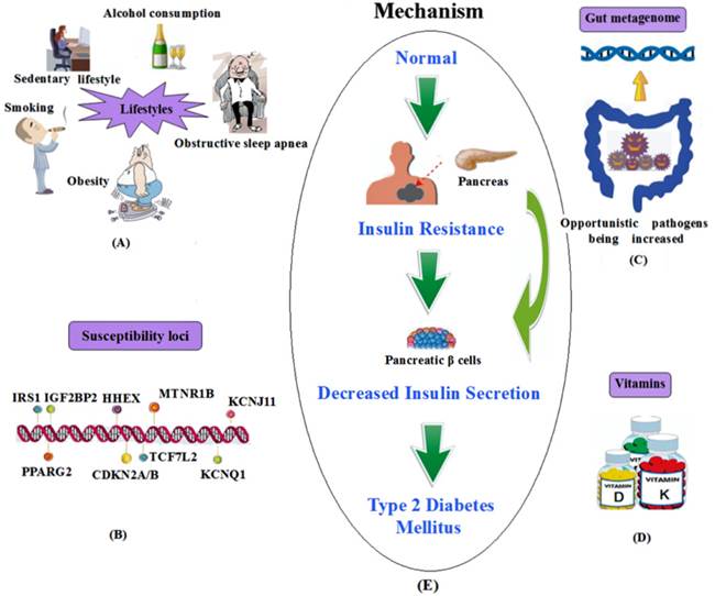 Int J Med Sci Image