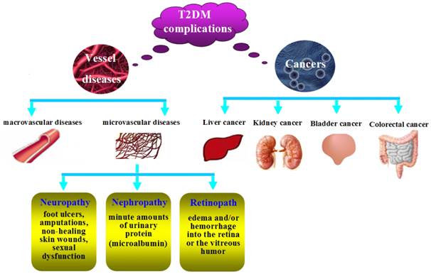 Int J Med Sci Image