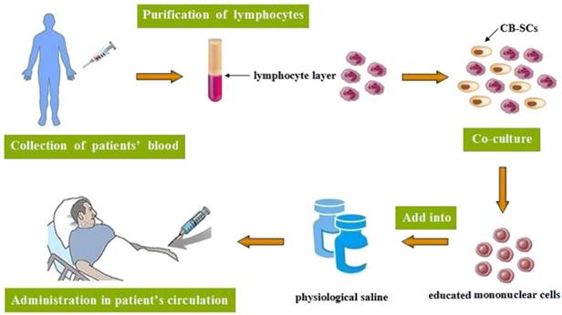 Int J Med Sci Image