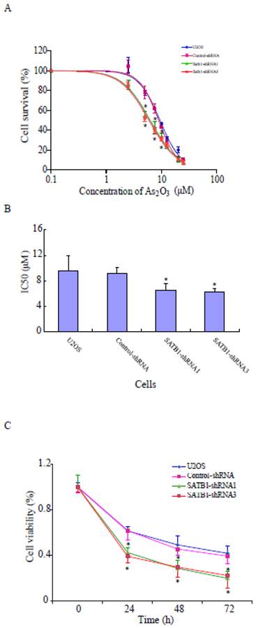 Int J Med Sci Image