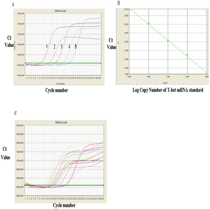 Int J Med Sci Image