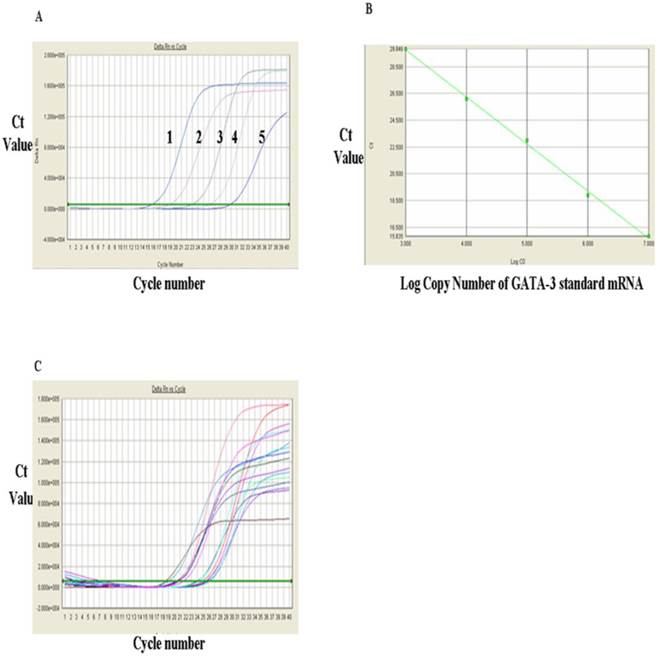 Int J Med Sci Image