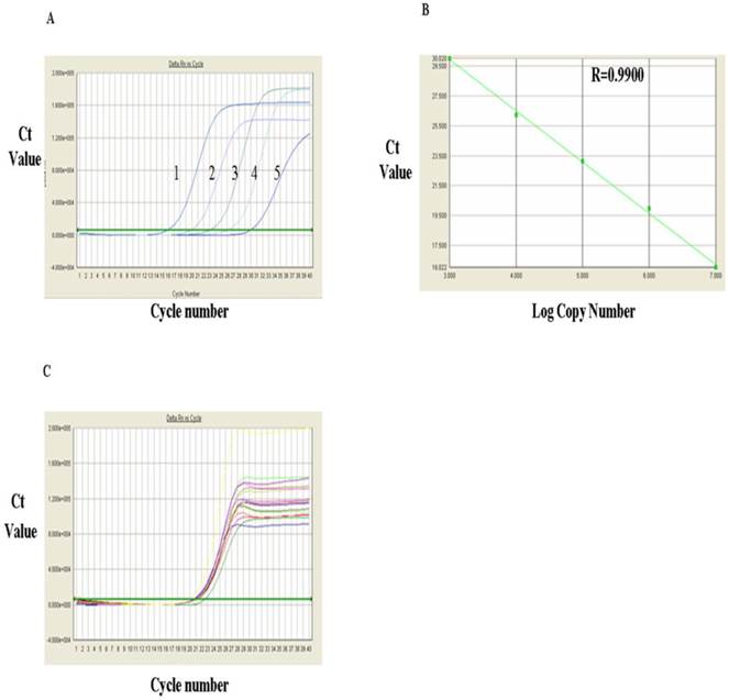 Int J Med Sci Image