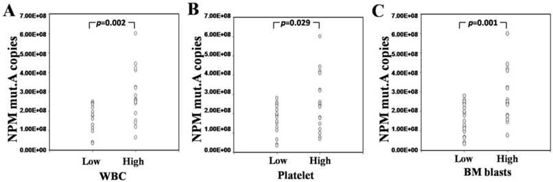 Int J Med Sci Image