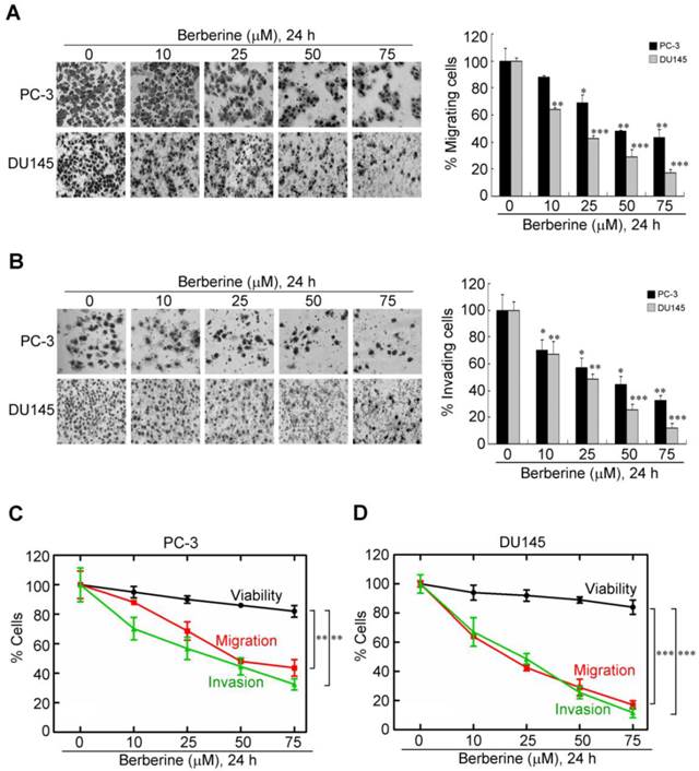 Int J Med Sci Image