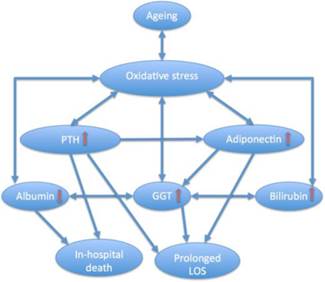 Int J Med Sci Image