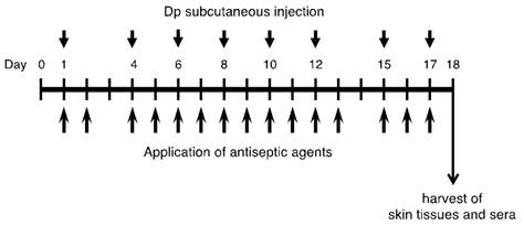 Int J Med Sci Image