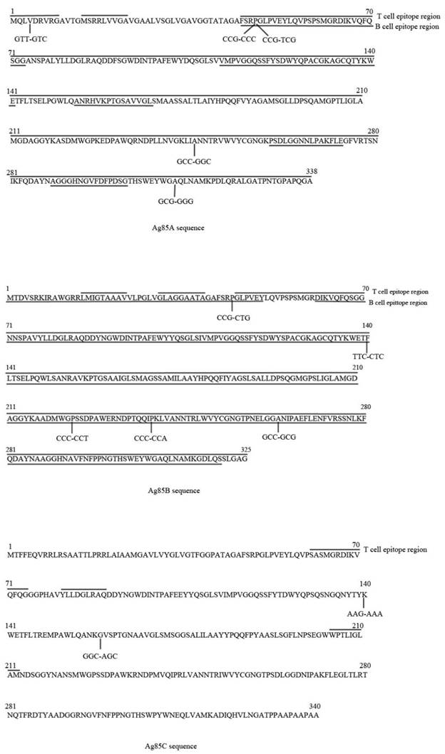 Int J Med Sci Image