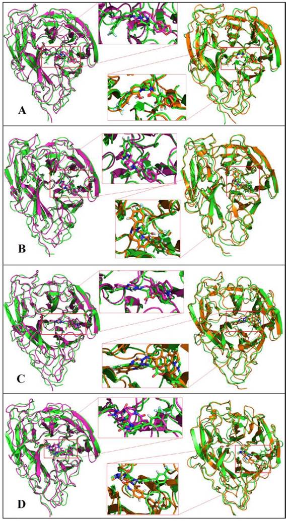 Int J Med Sci Image