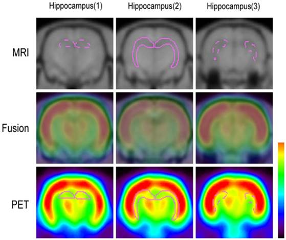 Int J Med Sci Image