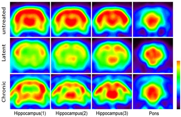 Int J Med Sci Image