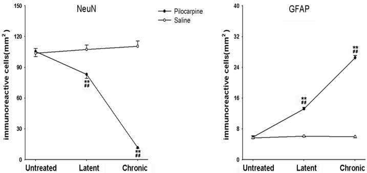 Int J Med Sci Image