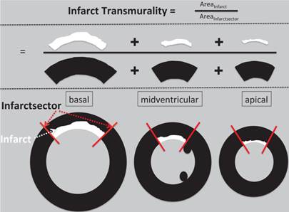 Int J Med Sci Image