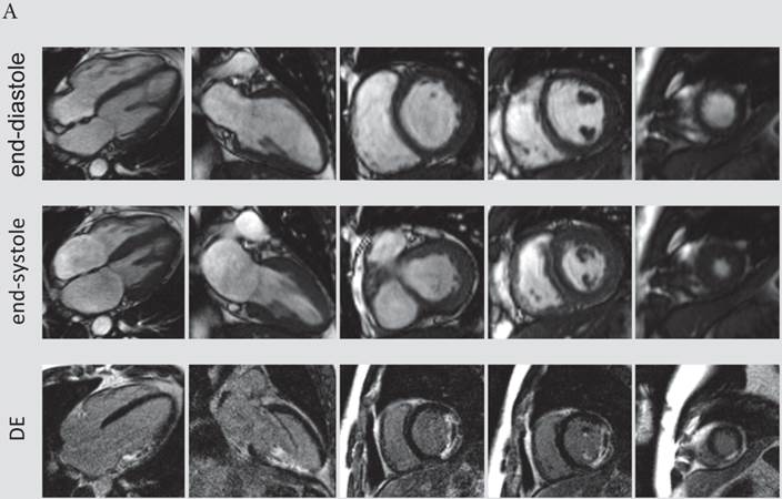 Int J Med Sci Image