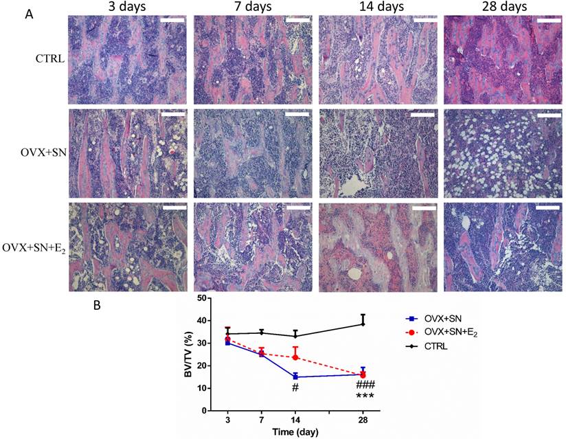 Int J Med Sci Image