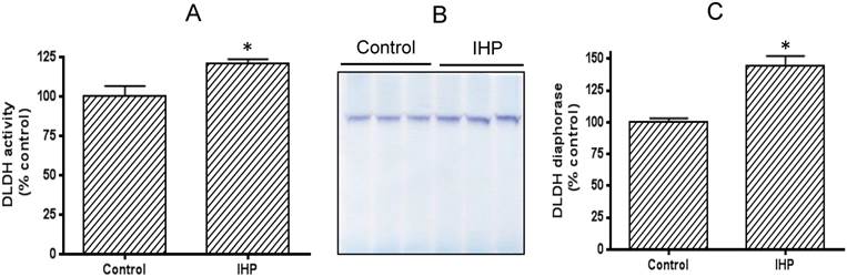 Int J Med Sci Image