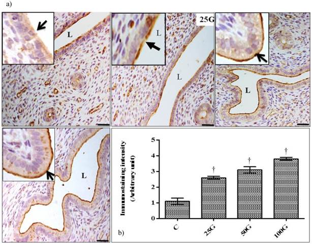 Int J Med Sci Image