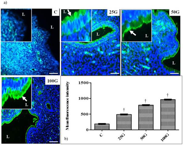 Int J Med Sci Image