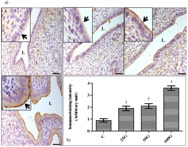 Int J Med Sci Image