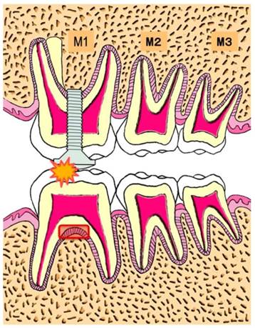 Int J Med Sci Image