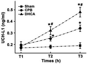 Int J Med Sci Image