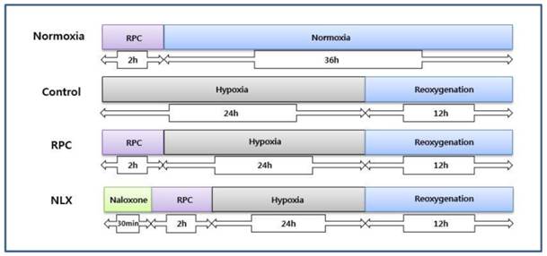 Int J Med Sci Image