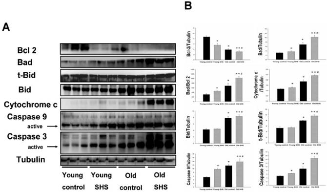 Int J Med Sci Image