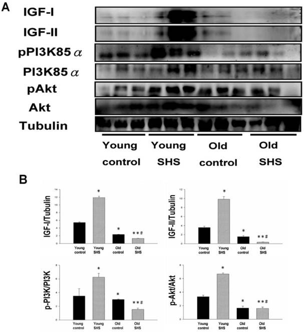 Int J Med Sci Image