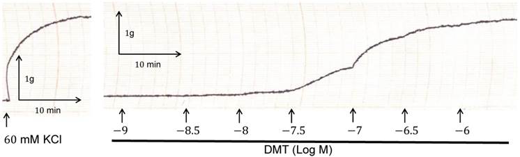 Int J Med Sci Image