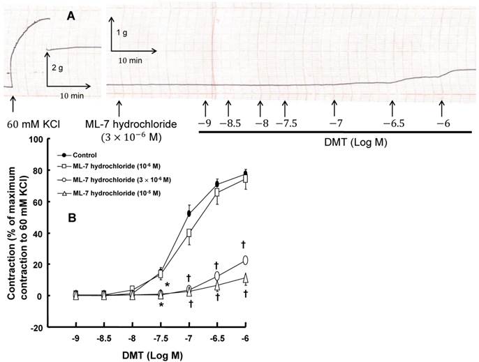 Int J Med Sci Image